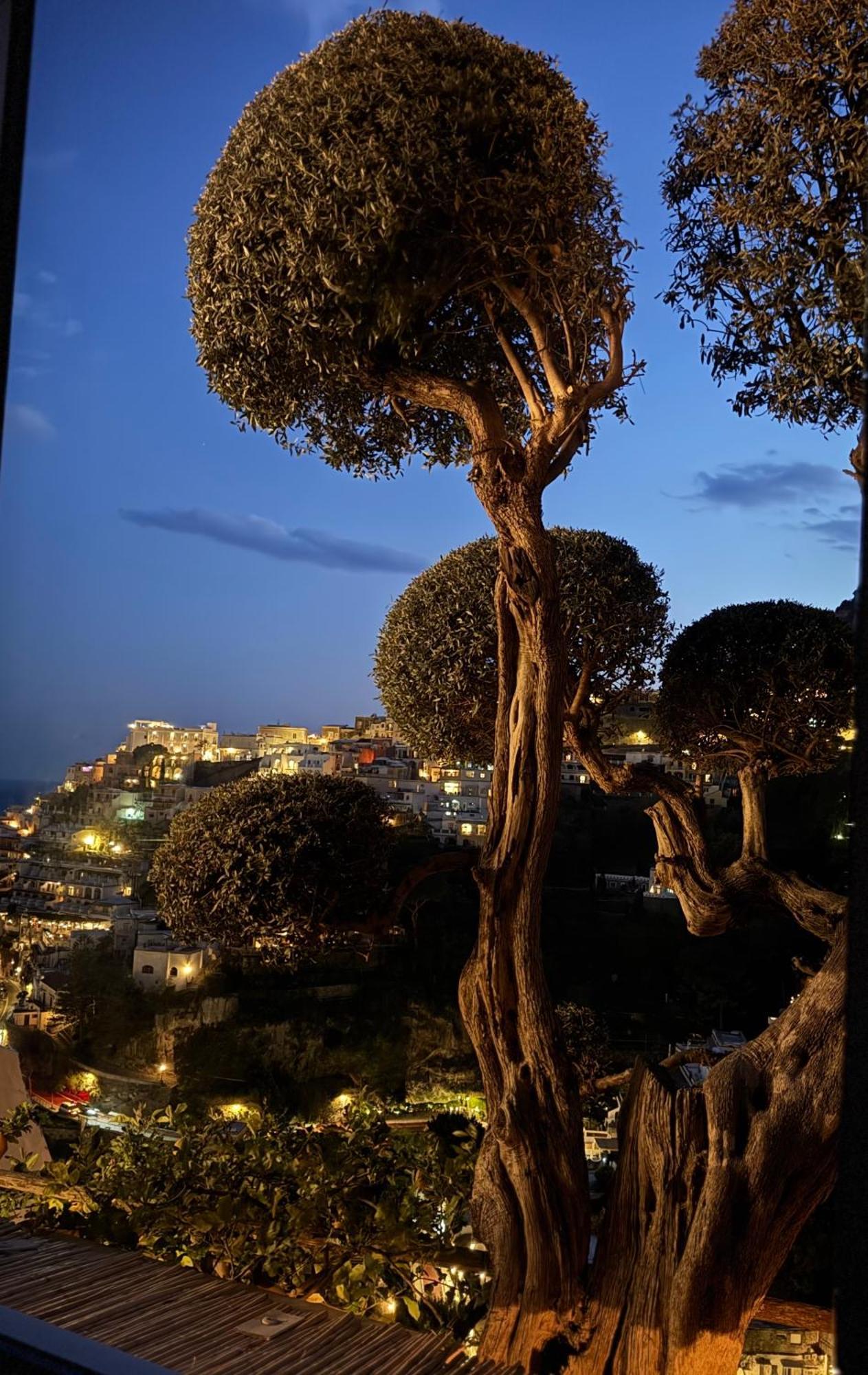 بوسيتانو Villa Mary Suites المظهر الخارجي الصورة